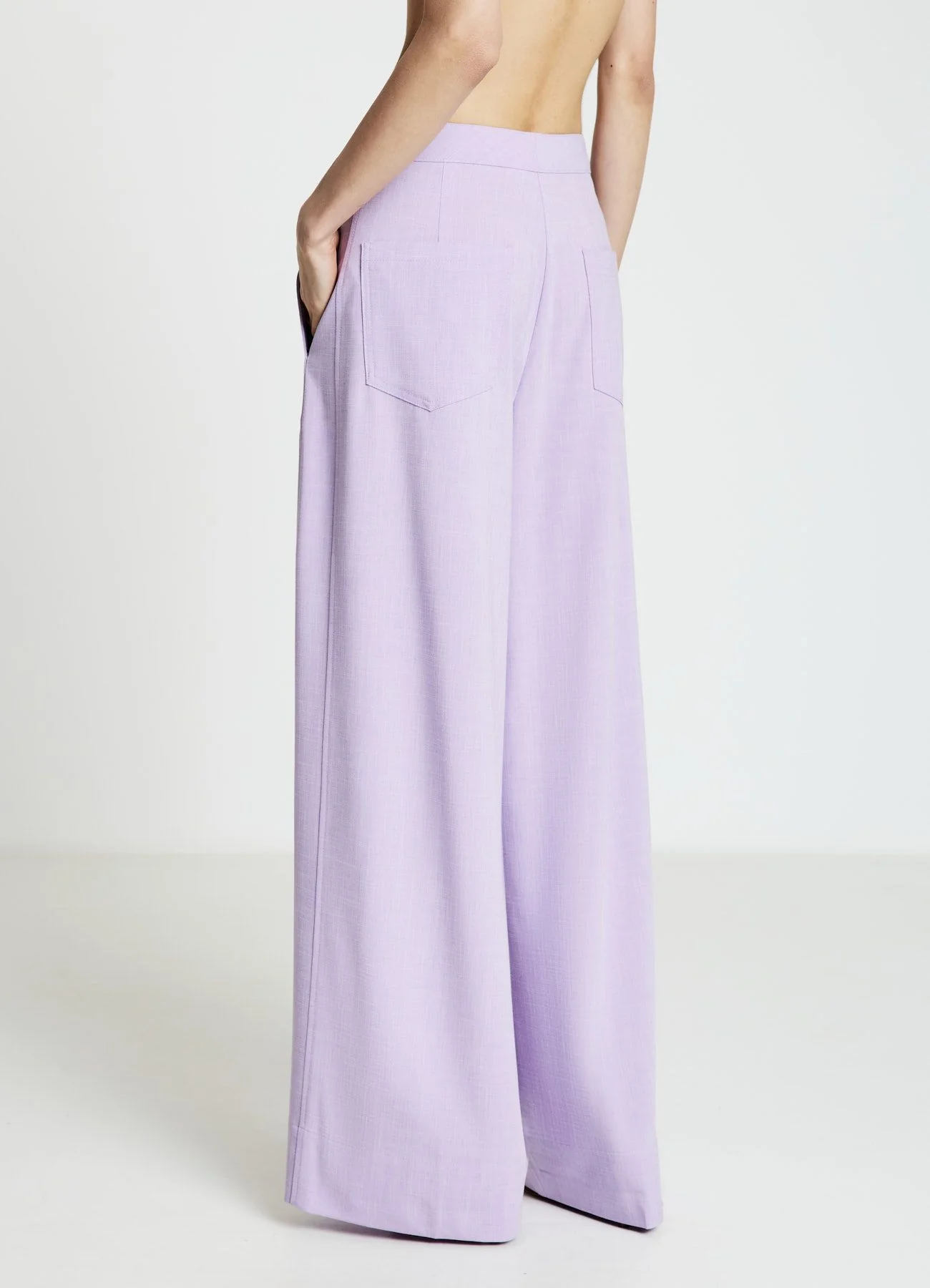 Pantaloni palazzo con pinces